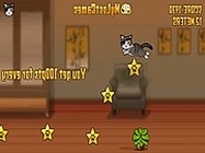 Pirate cat with broken online